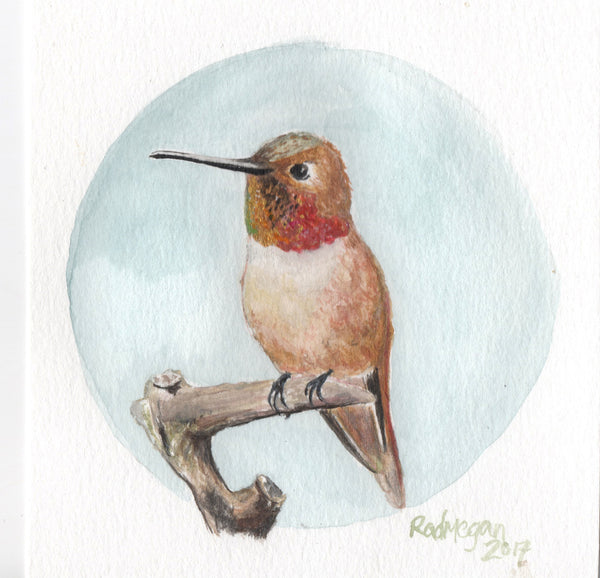 SOLD OUT- Allen's Hummingbird (Watercolor on cold press)