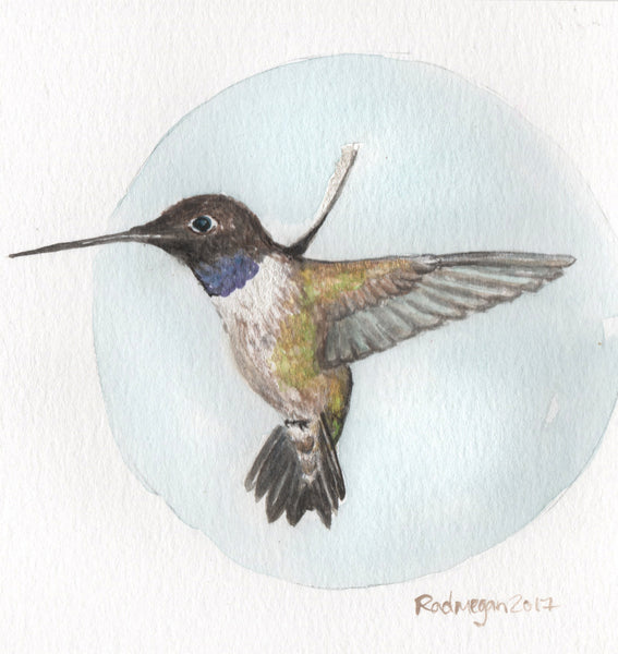 SOLD OUT-Black-Chinned Hummingbird (Watercolor on cold press)