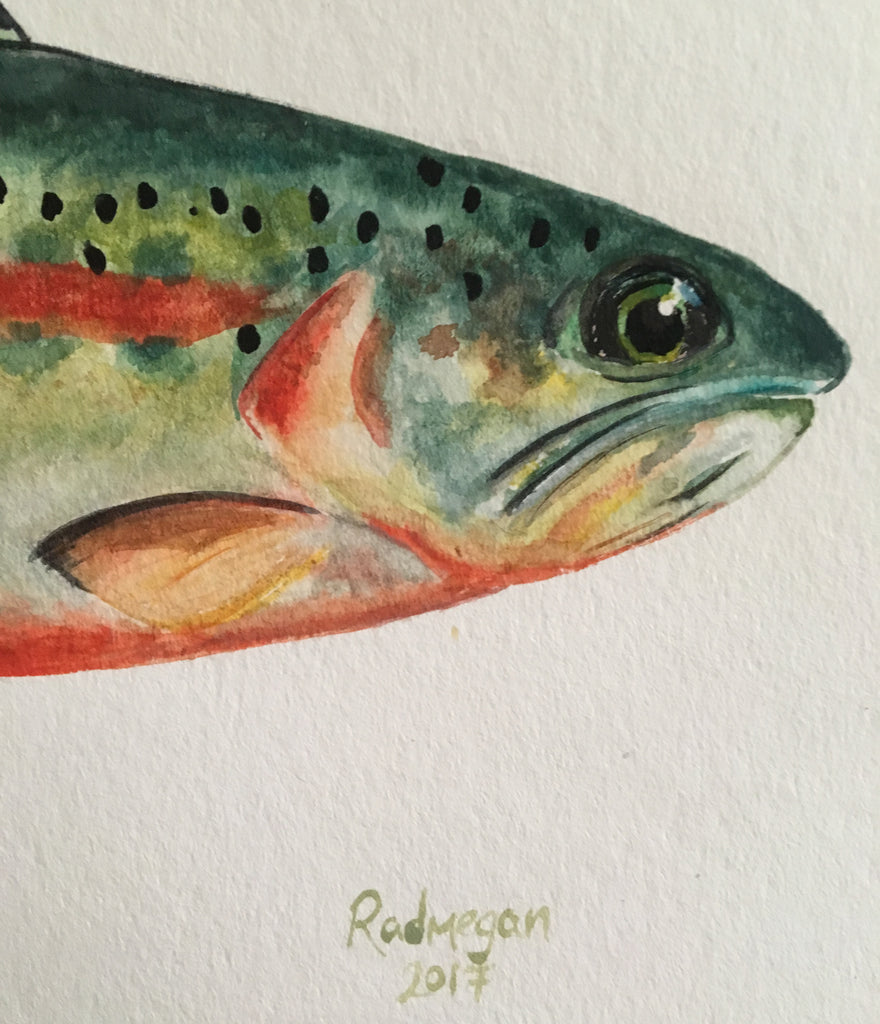 SOLD OUT- Golden trout (Watercolor on cold press paper)