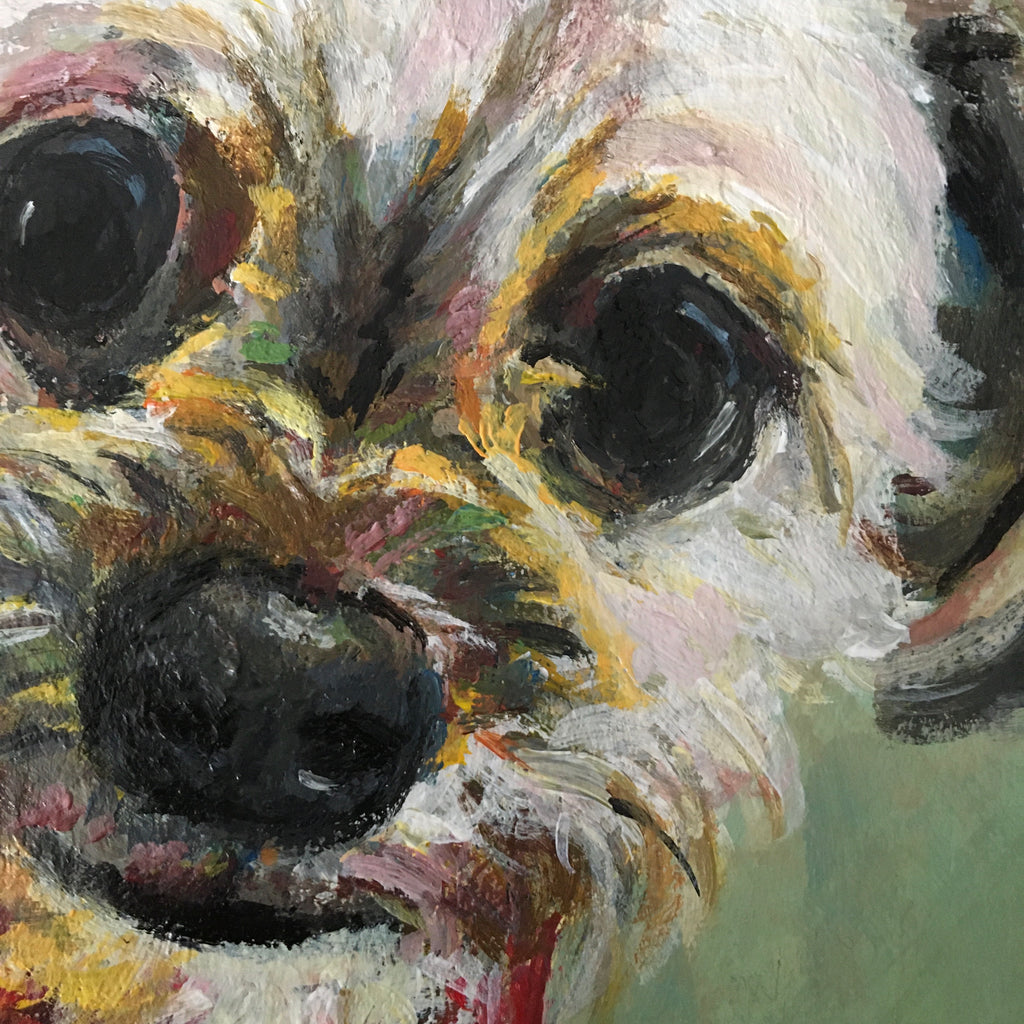 Reserved pet portrait for JV
